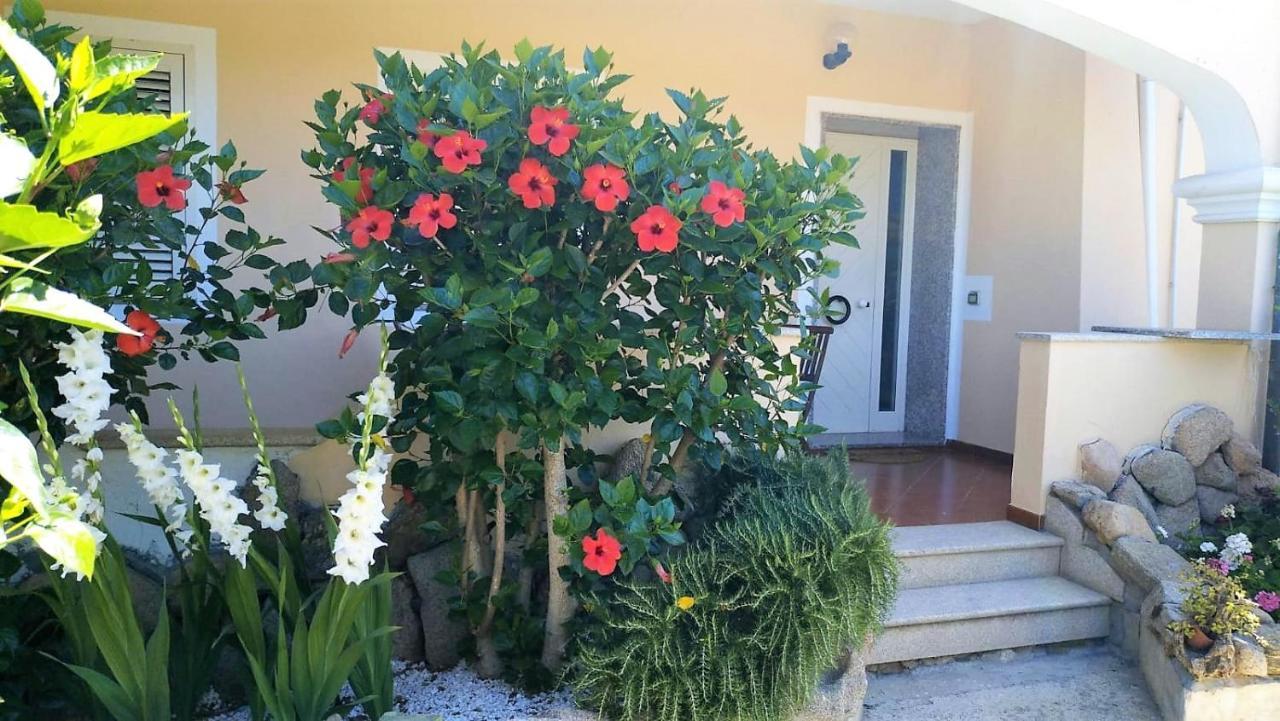 Casa Dolce Hibiscus Lägenhet Olbia Exteriör bild