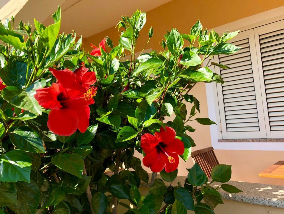 Casa Dolce Hibiscus Lägenhet Olbia Exteriör bild